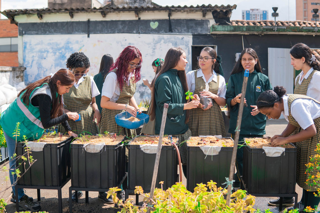 Imagen Colegios públicos de Medellín proponen soluciones innovadoras para desafíos ambientales (1)