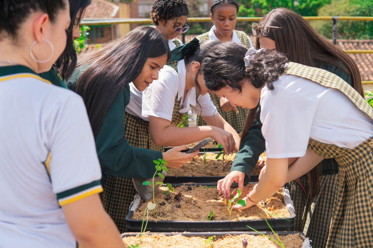 Colegios públicos de Medellín proponen soluciones innovadoras para desafíos ambientales Imagen Colegios públicos de Medellín proponen soluciones innovadoras para desafíos ambientales (3)