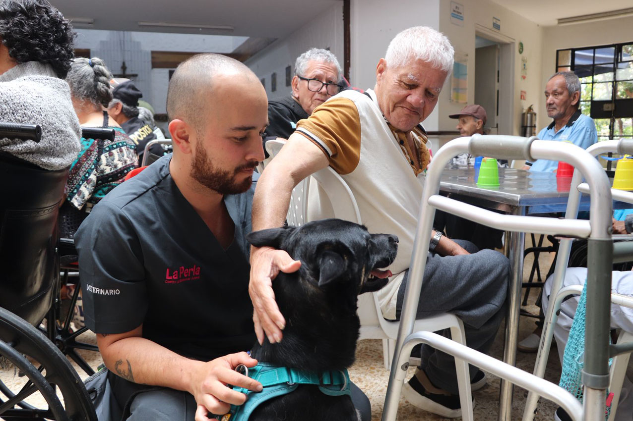 Imagen Perros que sanan el programa de Intervenciones Asistidas del Distrito (1)