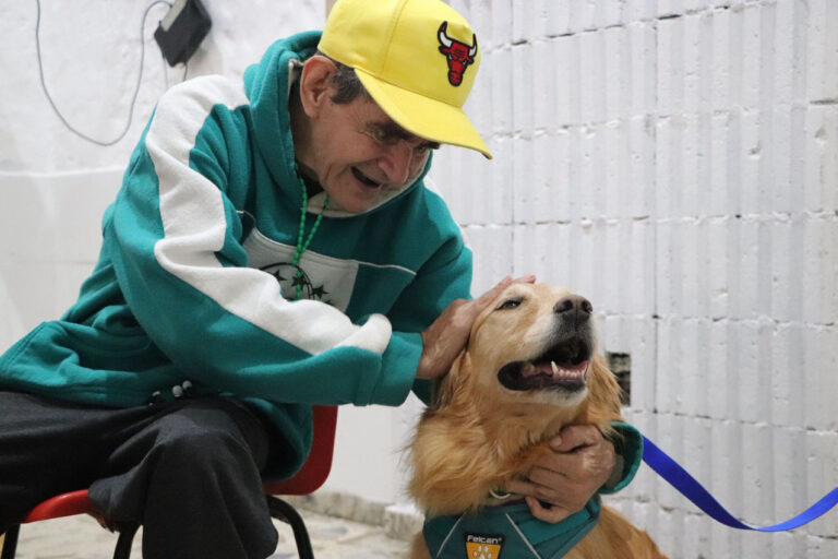 Imagen Perros que sanan el programa de Intervenciones Asistidas del Distrito (2)