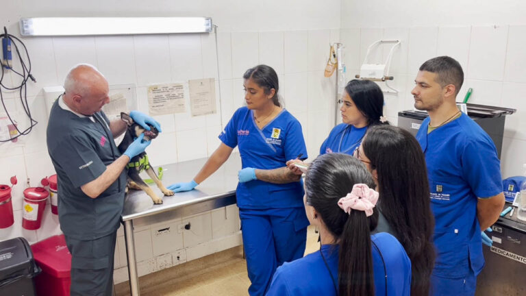 Imagen de veterinario con estudiantes