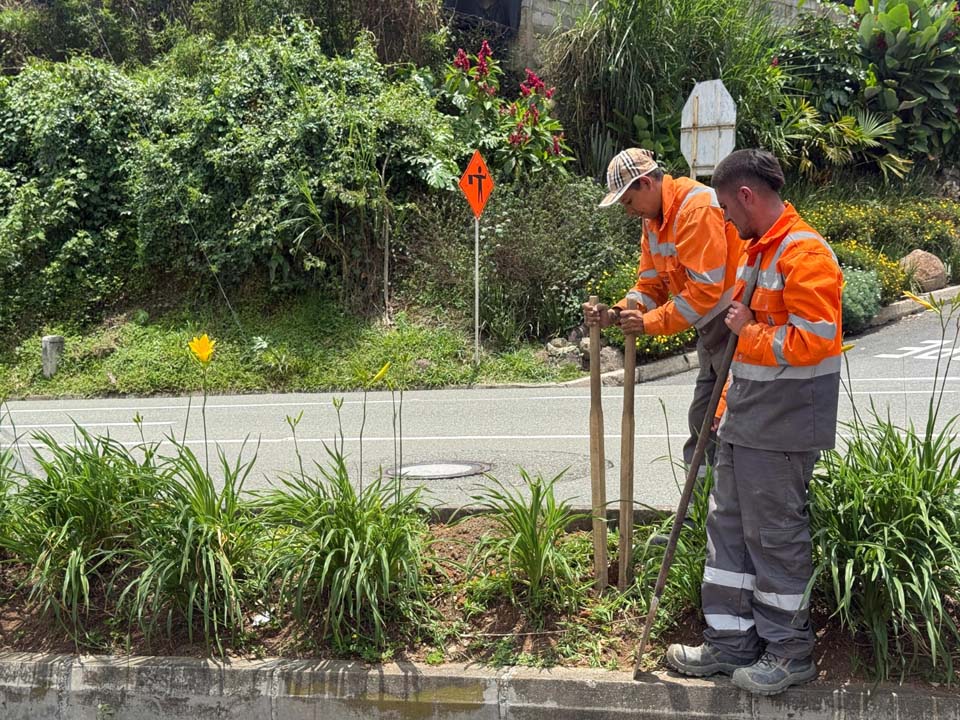 Imagen nuevas medidas de señalización en Las Palmas (1)