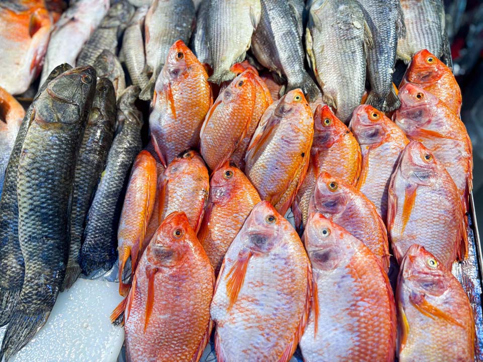 Imagen recomendaciones para el consumo seguro de pescado (1)