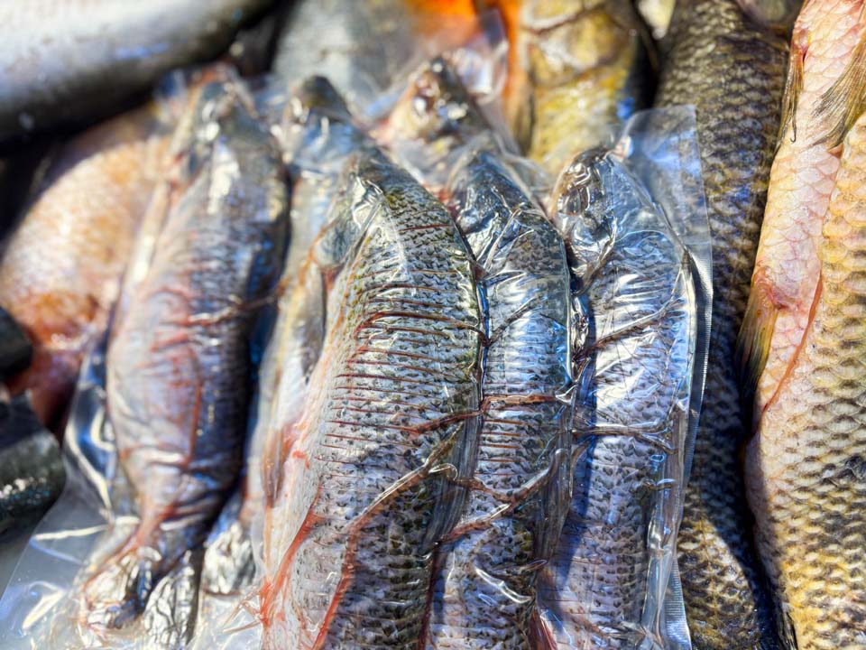 Imagen recomendaciones para el consumo seguro de pescado (1)
