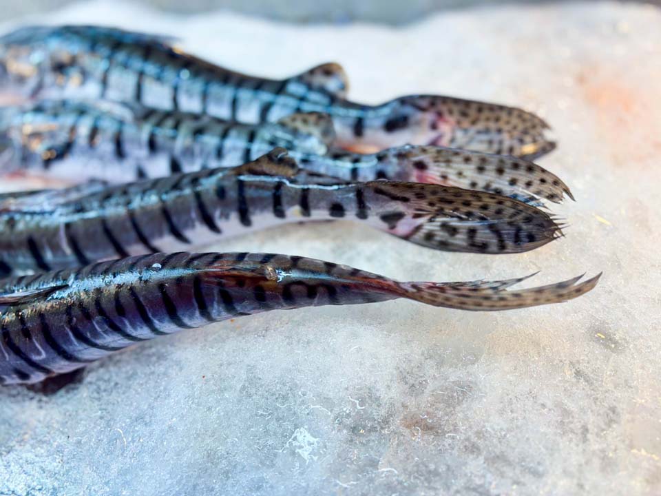 Imagen recomendaciones para el consumo seguro de pescado (1)