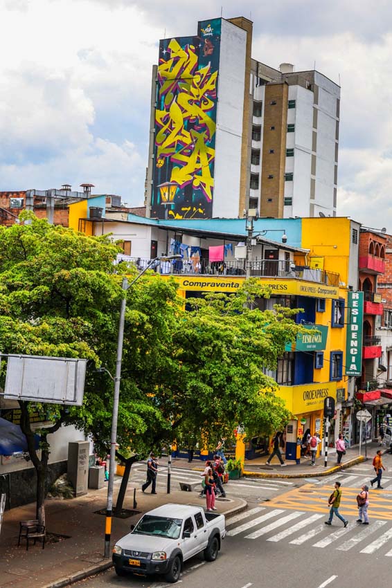 Hotel 3H. Título de la obra: Wild Encantado | Artista: Mela