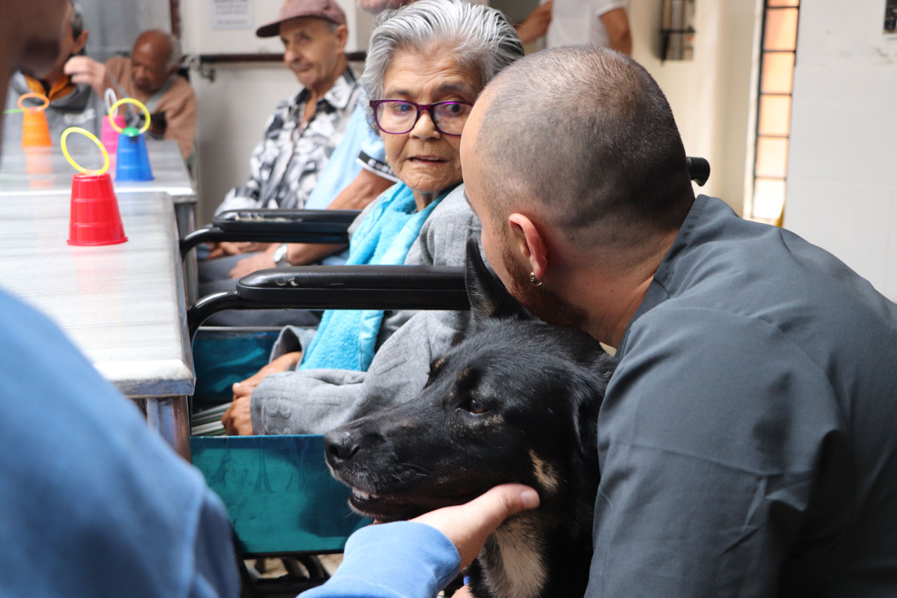 Imagen Hogar San Cristobal perros que sanan (1)