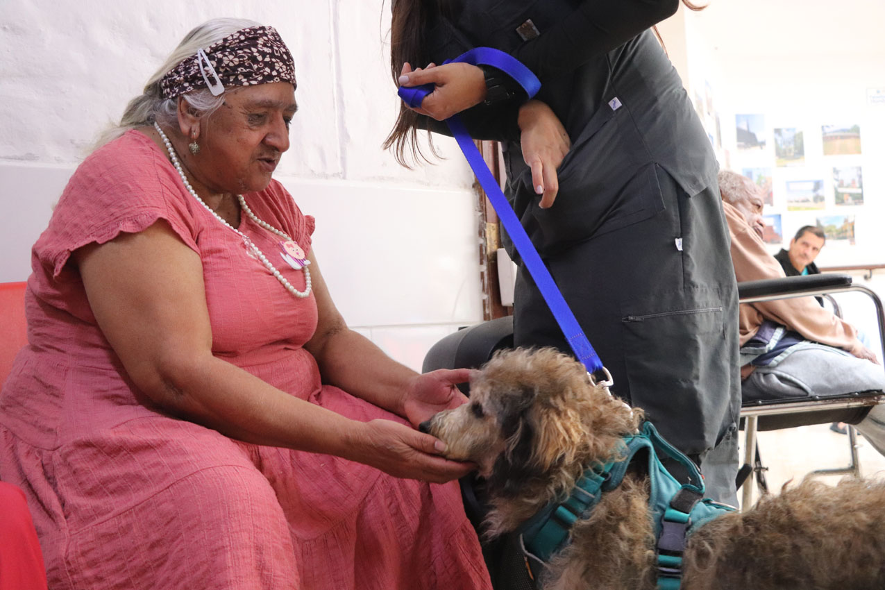 Imagen La perla hogar abuelos (3)
