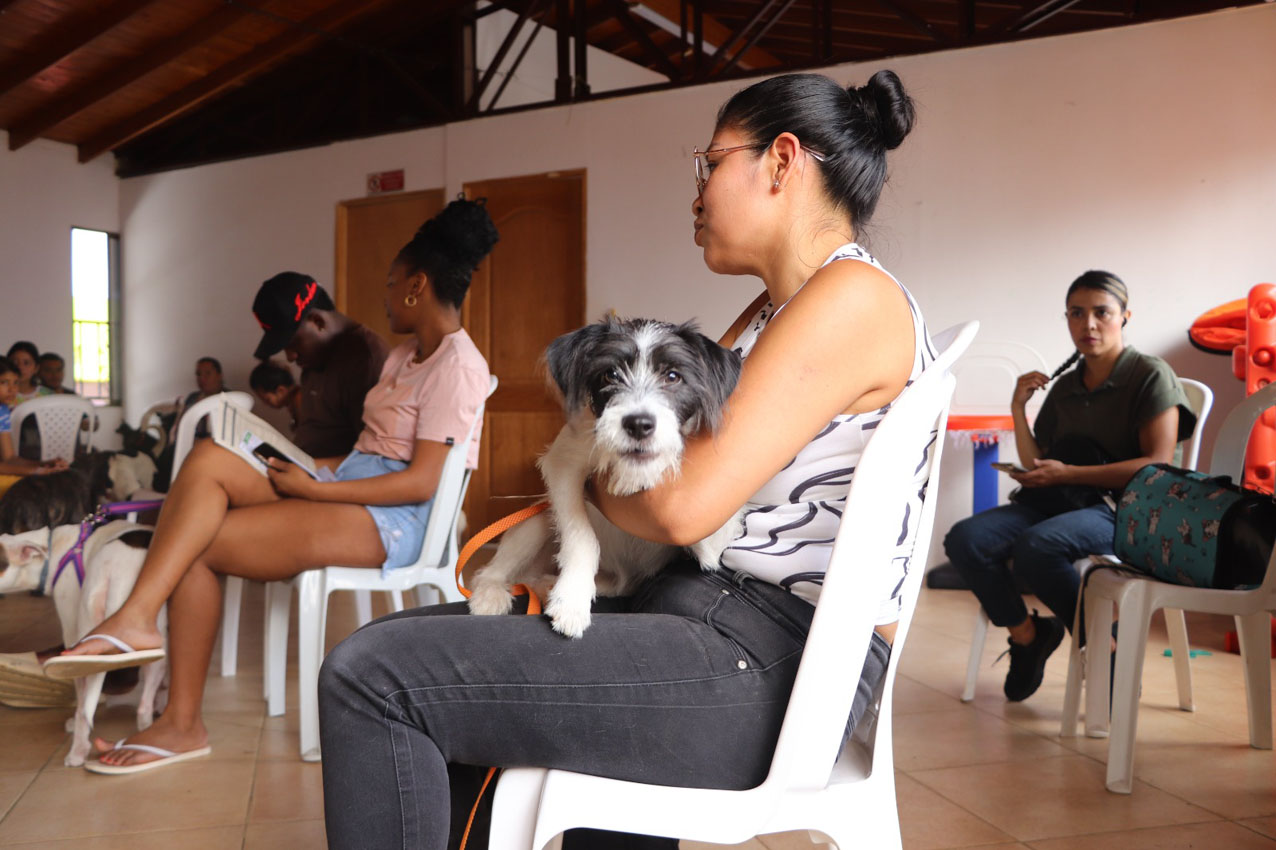 Imagen Medellín refuerza las acciones para proteger cerros, quebradas y bosques (3)