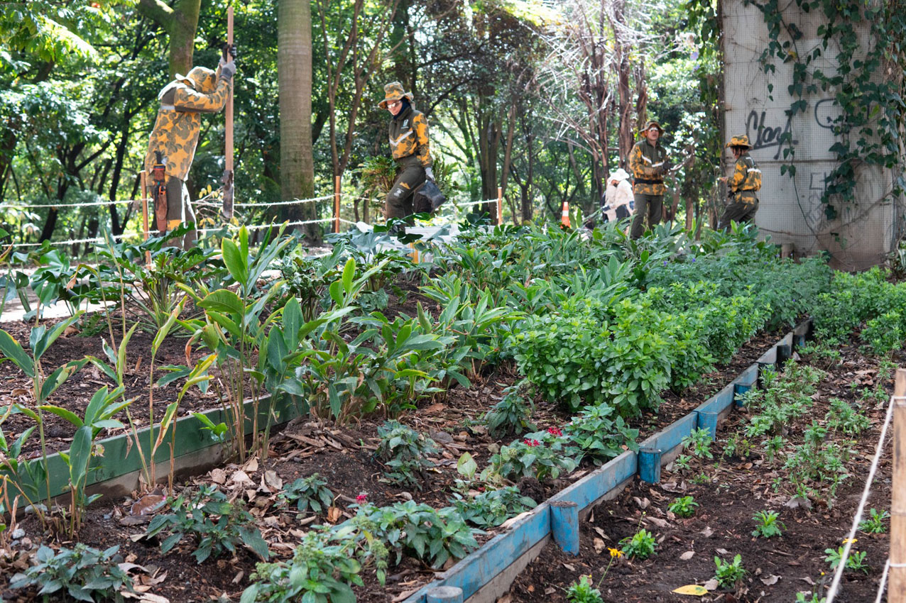 Imagen Medellín refuerza las acciones para proteger cerros, quebradas y bosques (3)