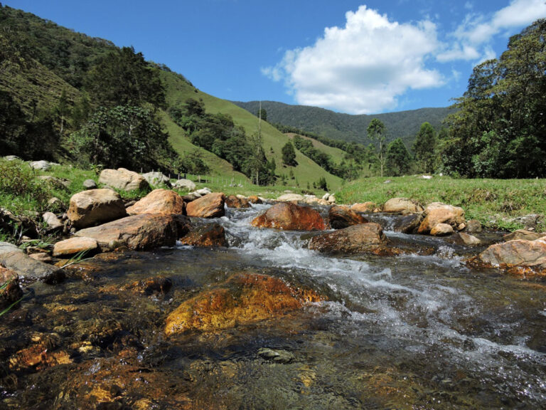Imagen Medellín refuerza las acciones para proteger cerros, quebradas y bosques (5)