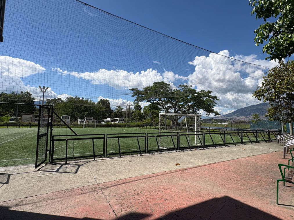Imagen de cancha sintética