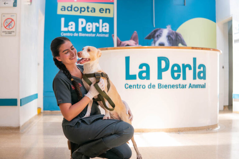 Imagen de una perra con una veterinaria en La Perla
