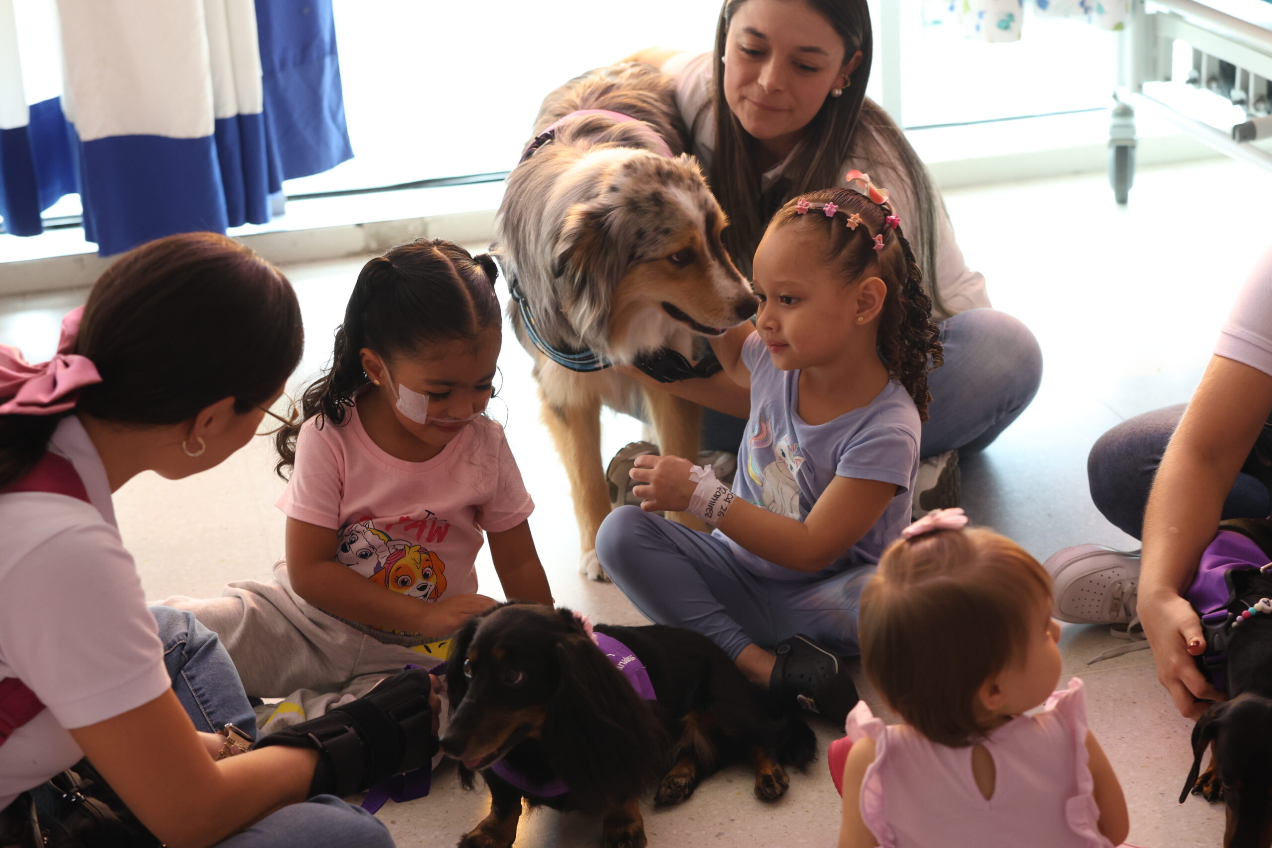 Visita de perros a hospital Infantil (11)