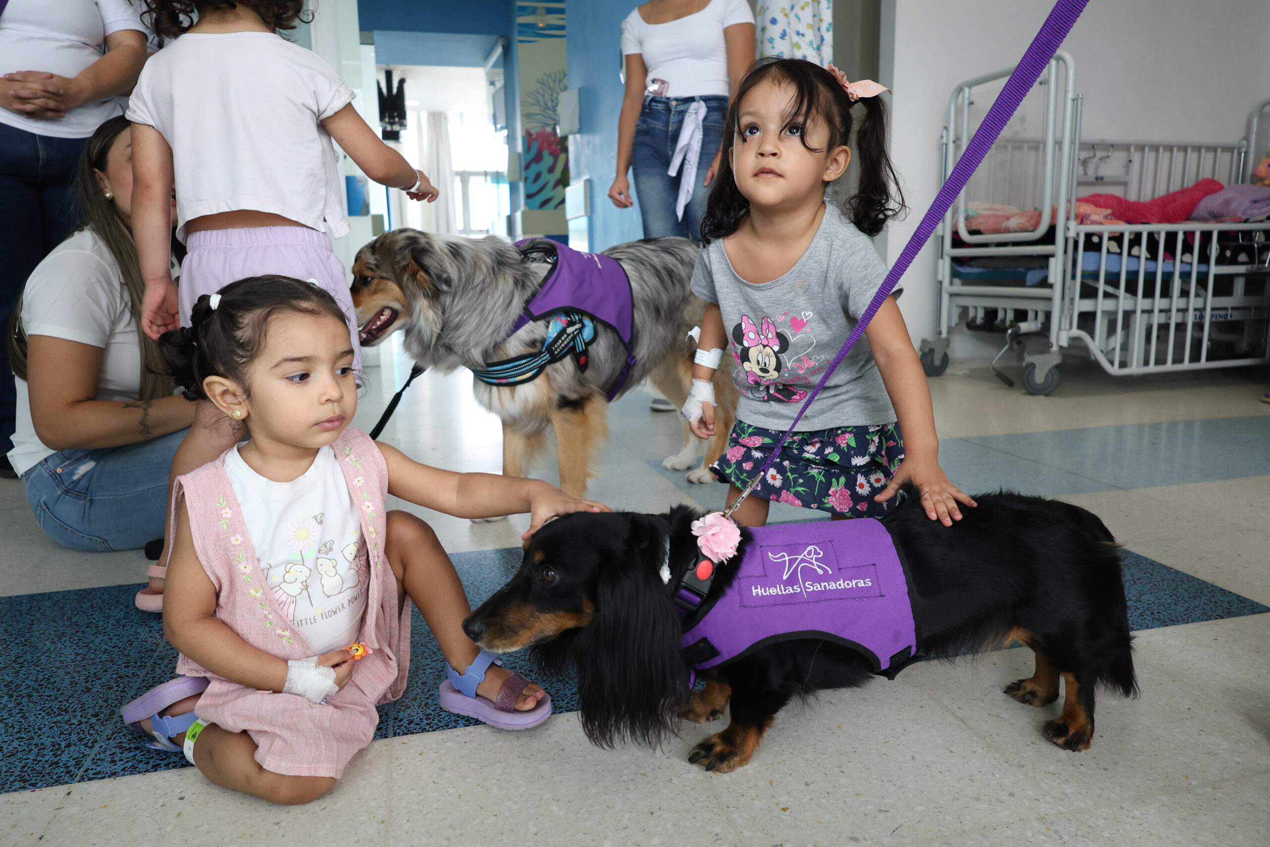 Visita de perros a hospital Infantil (39)