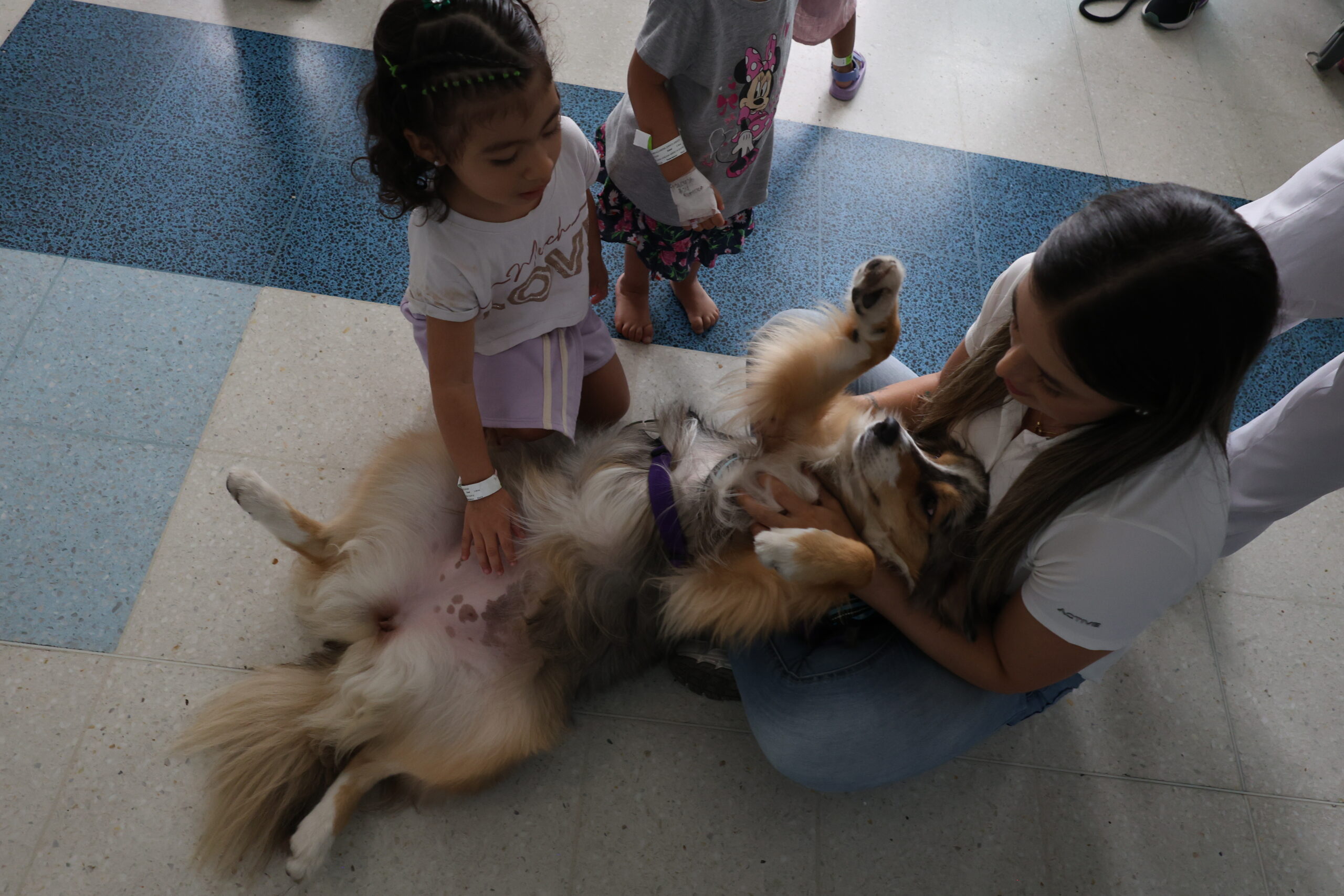 Visita de perros a hospital Infantil (39)