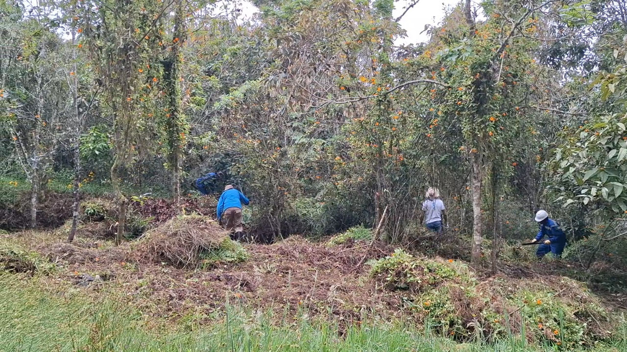 Imagen Caravanas ambientales llevan arte, pedagogía y conservación a los corregimientos de Medellín (1)