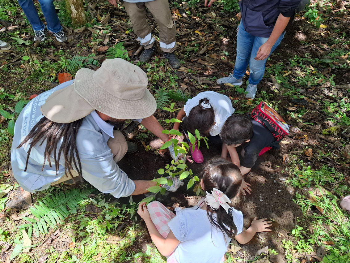 Imagen Caravanas ambientales llevan arte, pedagogía y conservación a los corregimientos de Medellín (3)