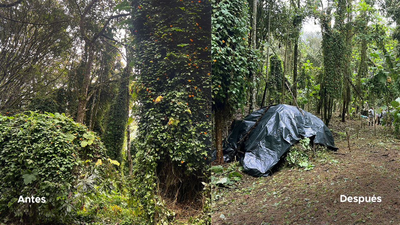 Imagen Caravanas ambientales llevan arte, pedagogía y conservación a los corregimientos de Medellín (6)