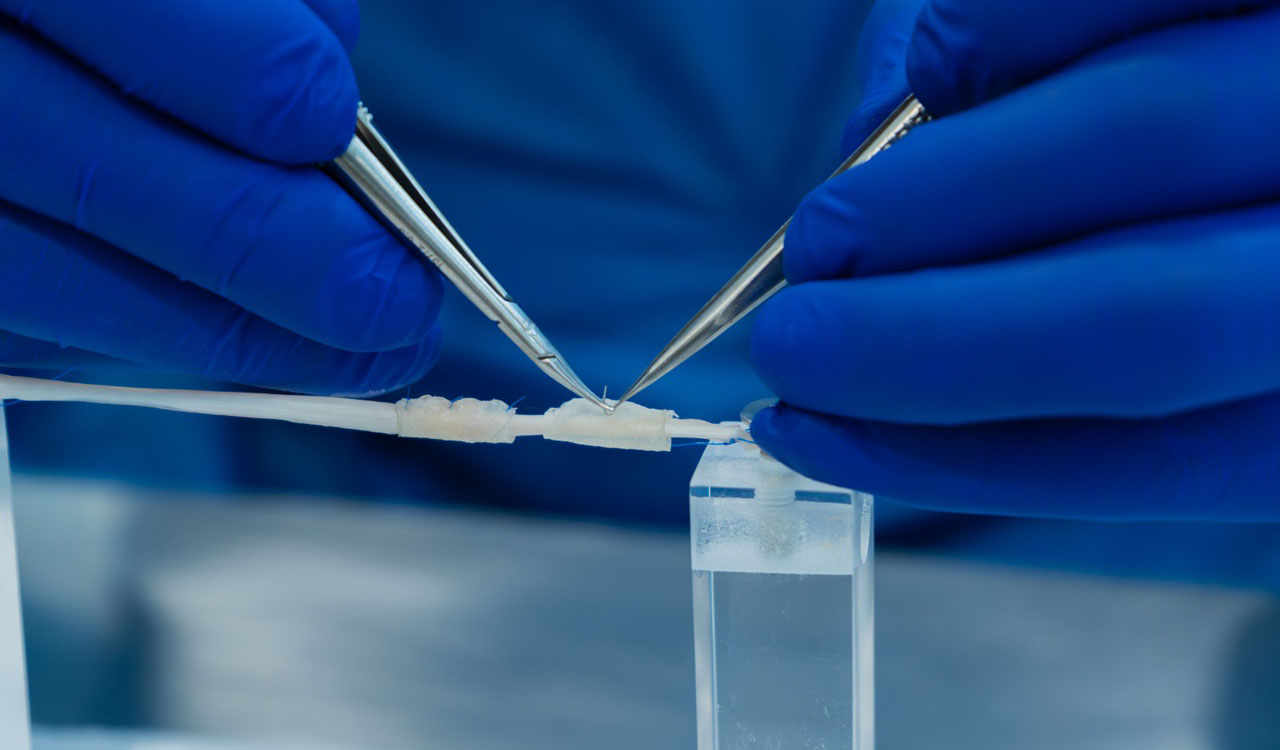 Proyecto de FutuMed desarrolla tecnología biomédica Imagen Proyecto de FutuMed desarrolla tecnología biomédica (2)