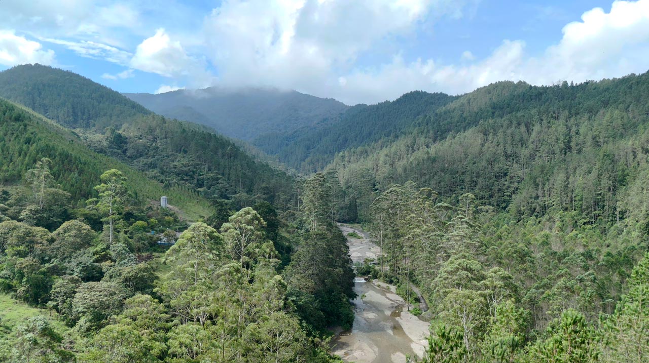 Imagen Reserva bosque 1