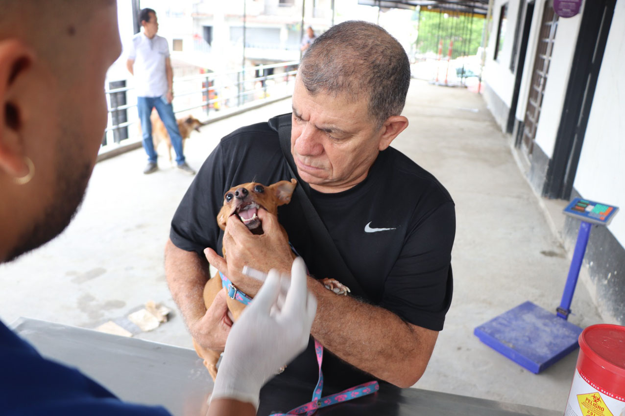 Imagen animales evaluados en jornadas de bienestar (2)