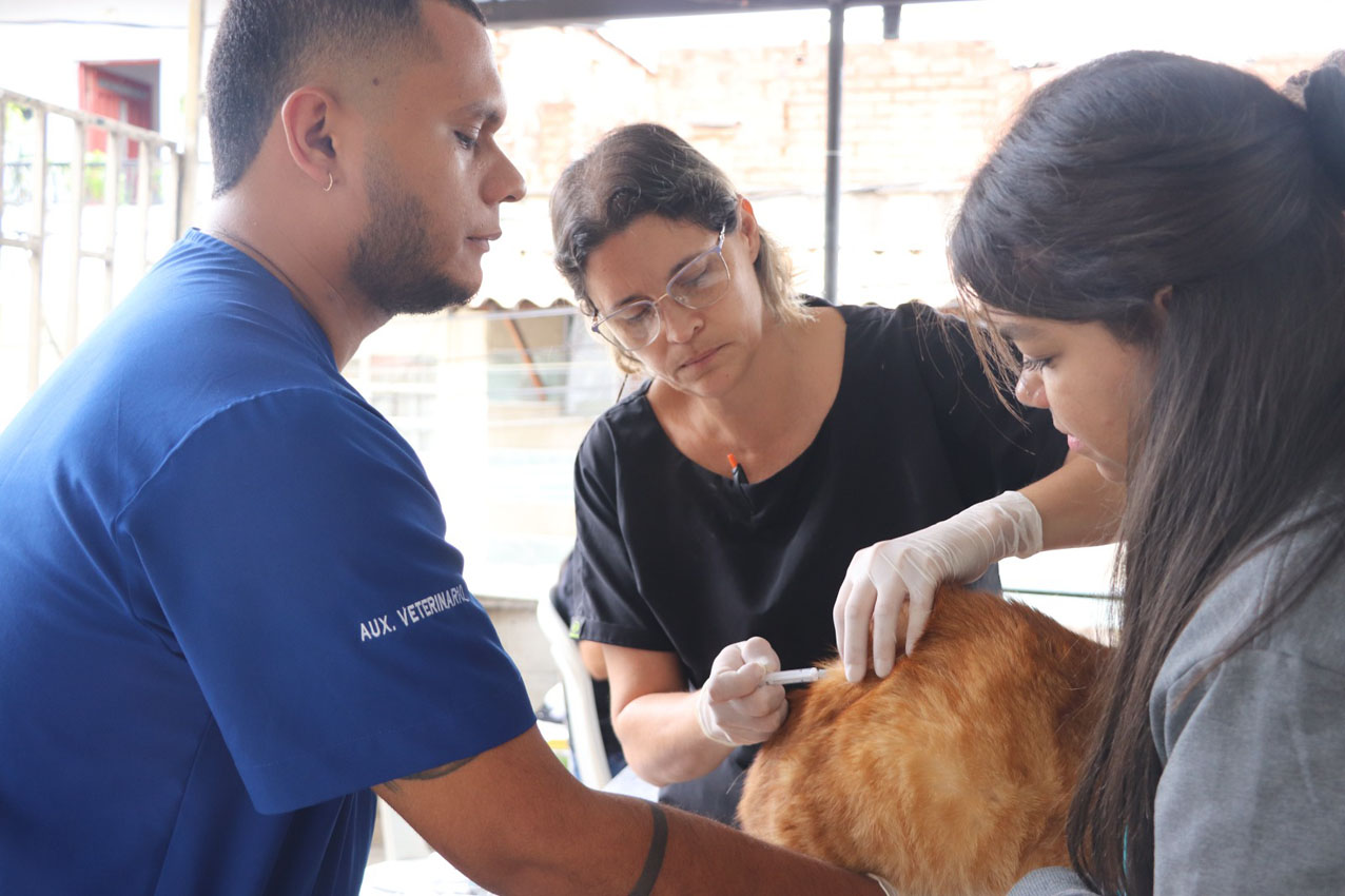 Imagen animales evaluados en jornadas de bienestar (5)