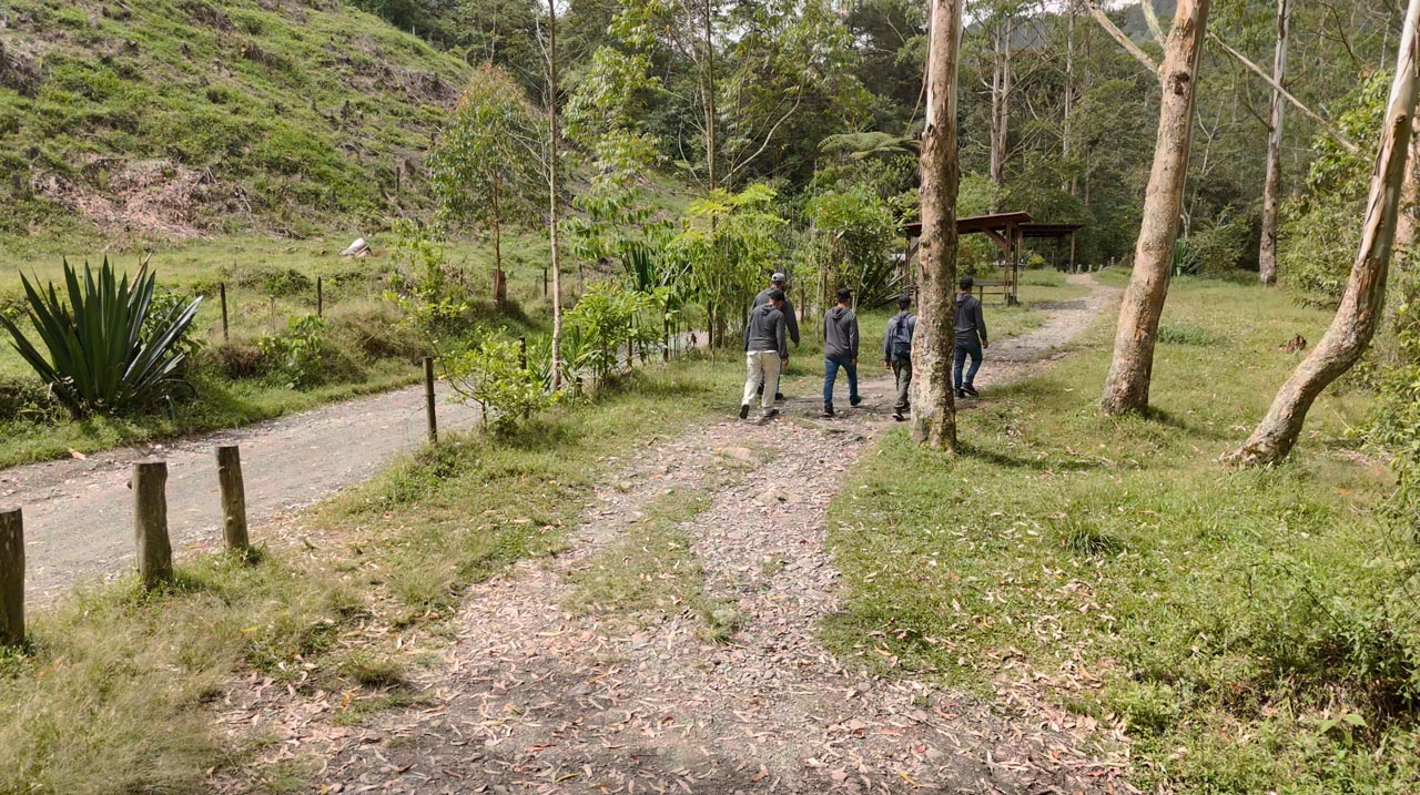 Imagen bosque Reserva3