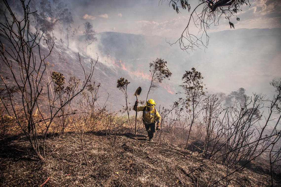 Imagen de bombero en incendio forestal