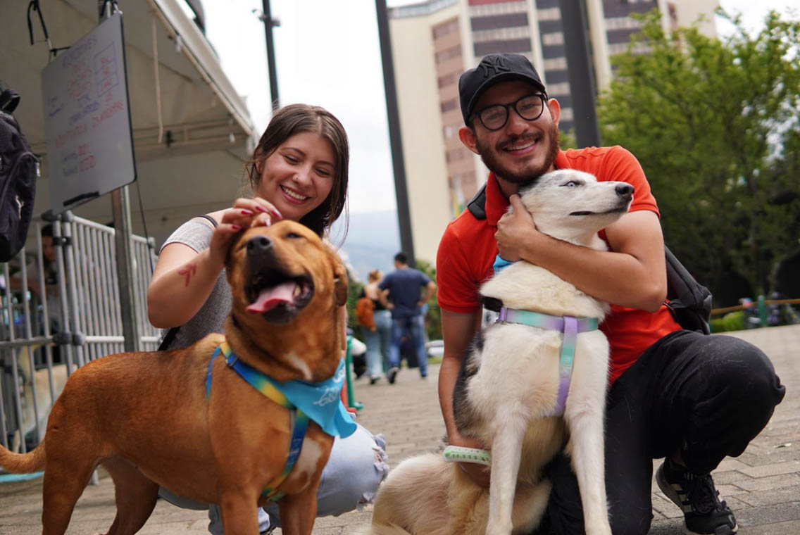 Imagen de dos personas con dos perros