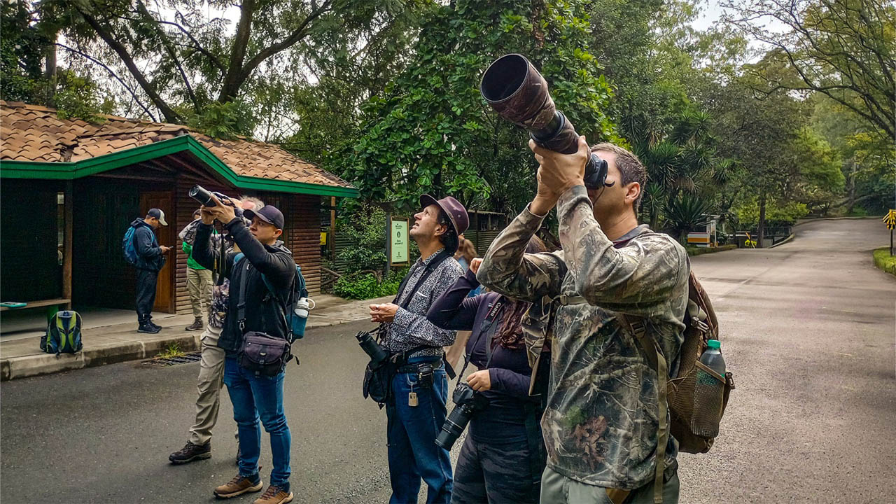 Imagen de observadores de aves