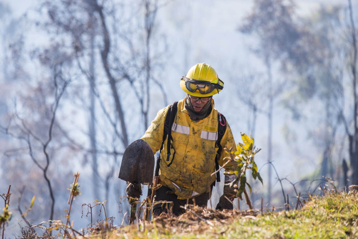 Imagen de un bombero en incendio forestal