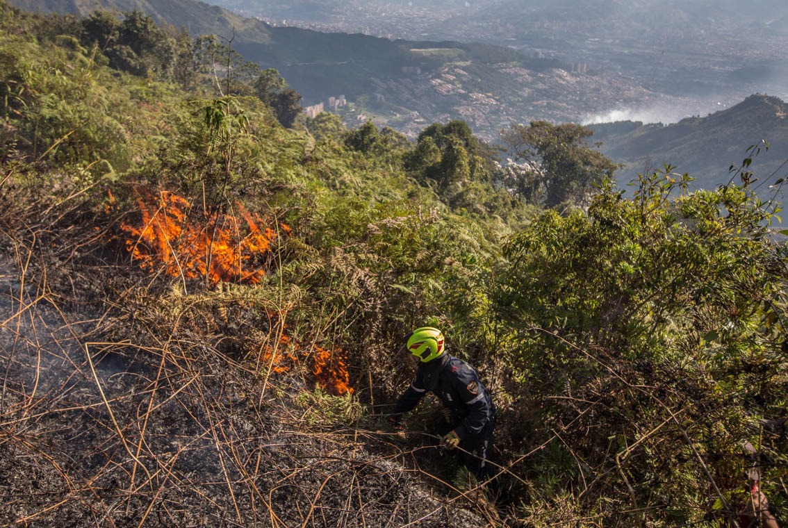Imagen de un incendio forestal