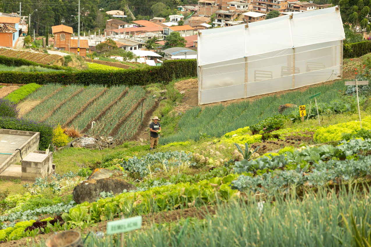 Imagen estrategia de seguridad alimentaria 5