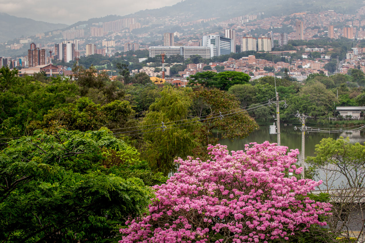 Imagen movilidad, corredores viales, Medellín (2)