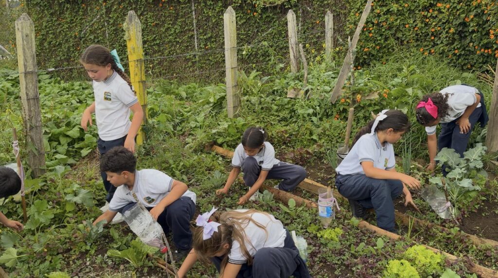15. Niños en la huerta escolar
