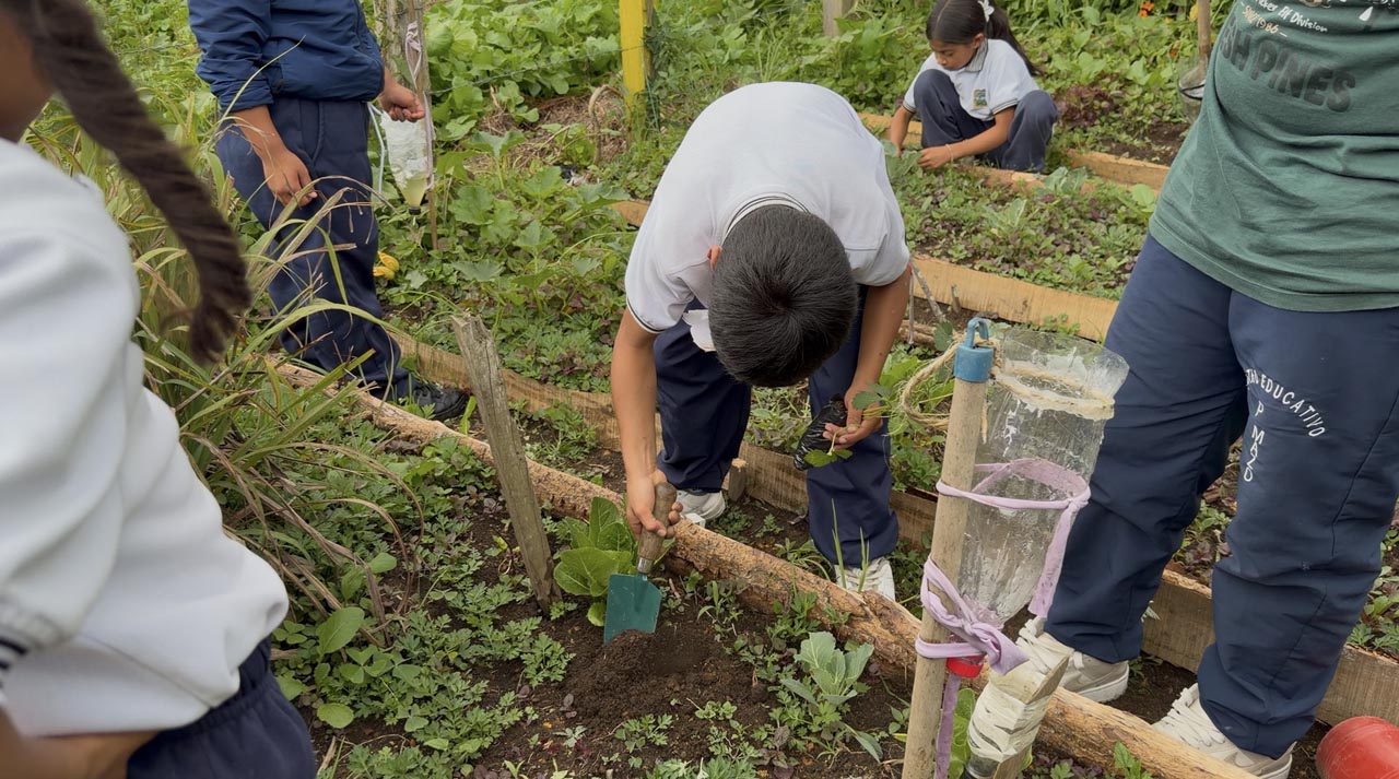 3. José Antonio plantando 2