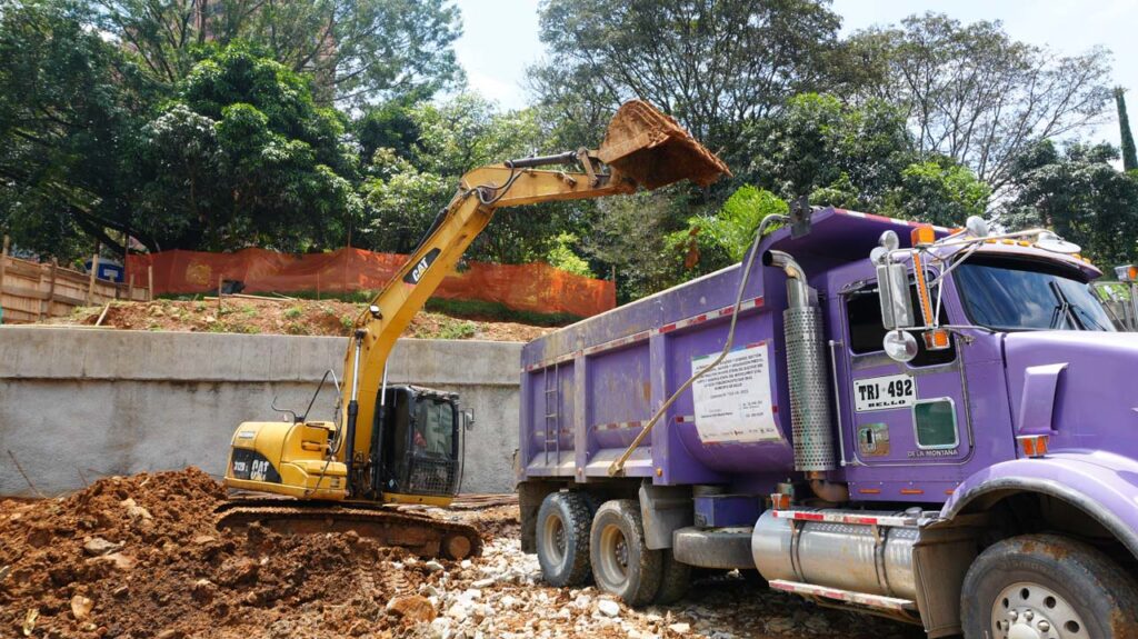 Imagen Las dos crías de búho que obligaron a detener una obra en Medellín Fotografía 2