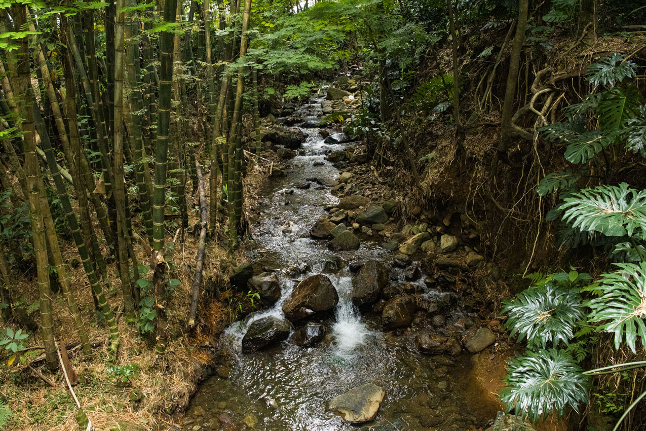 Imagen POT 0916.jpg