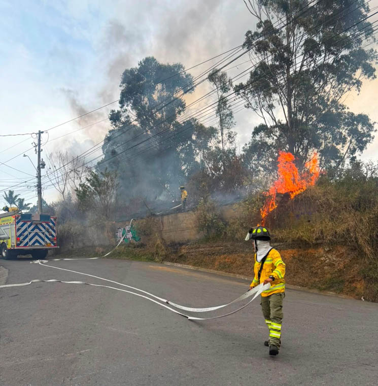 Imagen de bombero en incendio forestal