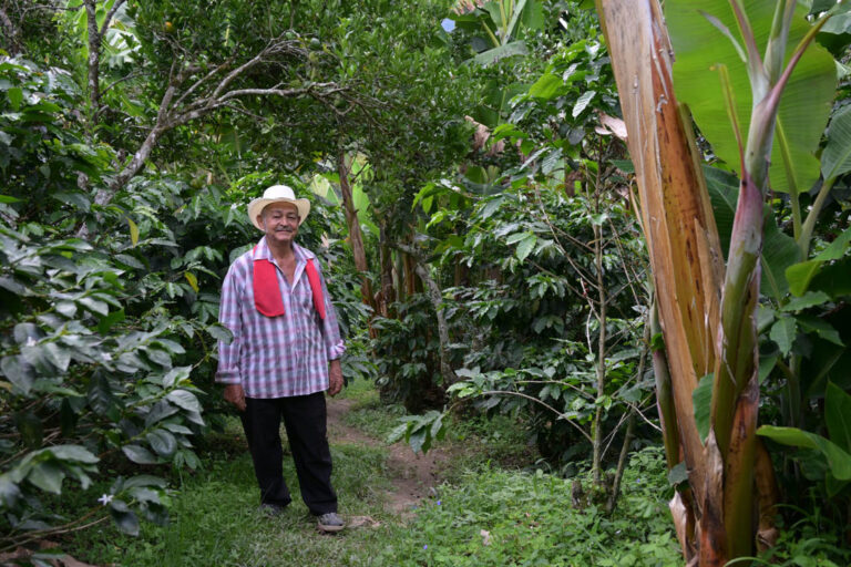 Imagen de campesino en sembrado