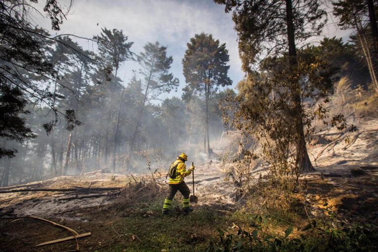 Imagen de un bombero en incendio forestal