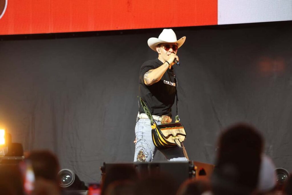 Imagen Luis Alfonso en concierto (4)