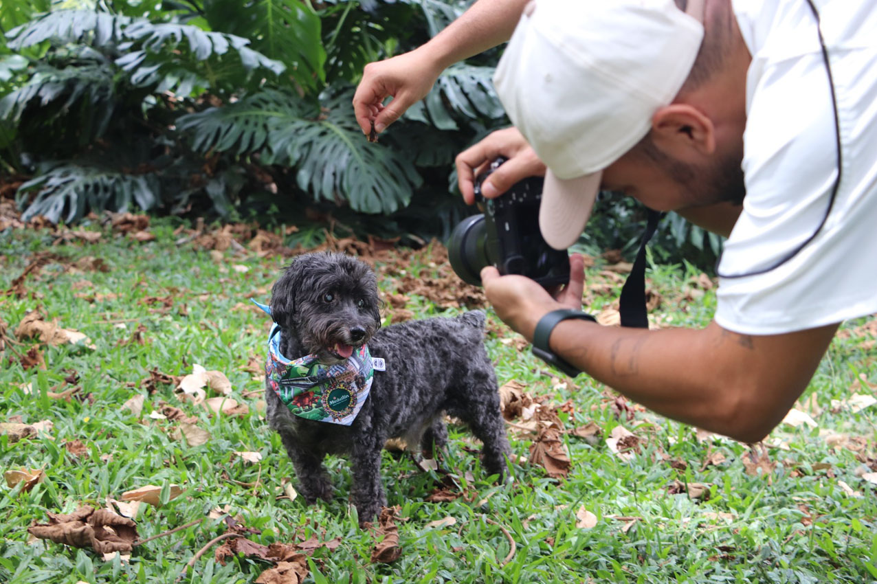 Imagen adopción-La Perla (5)