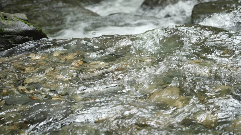 Imagen de agua en una quebrada
