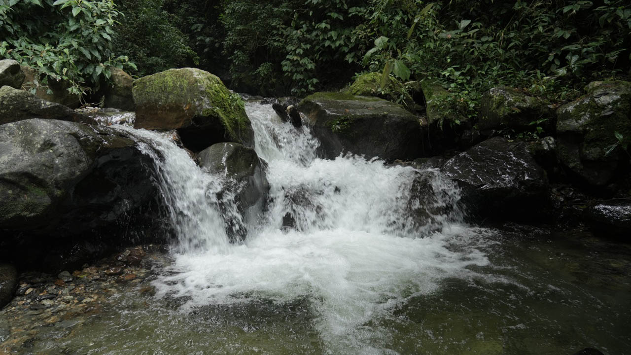 Imagen de un río fluyendo