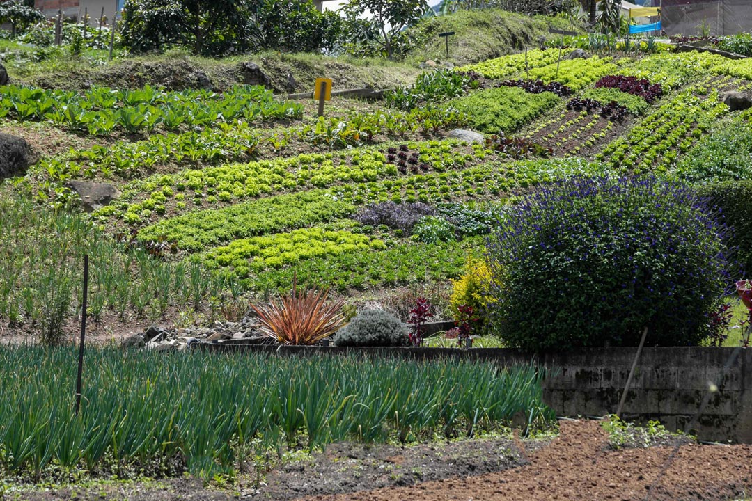 Imagen experiencia turística para cultivar el arraigo al campo en jóvenes rurales