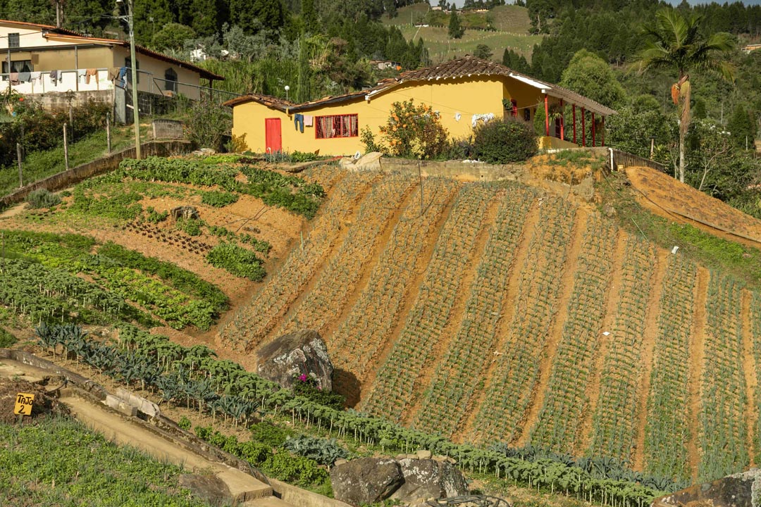 Imagen experiencia turística para cultivar el arraigo al campo en jóvenes rurales