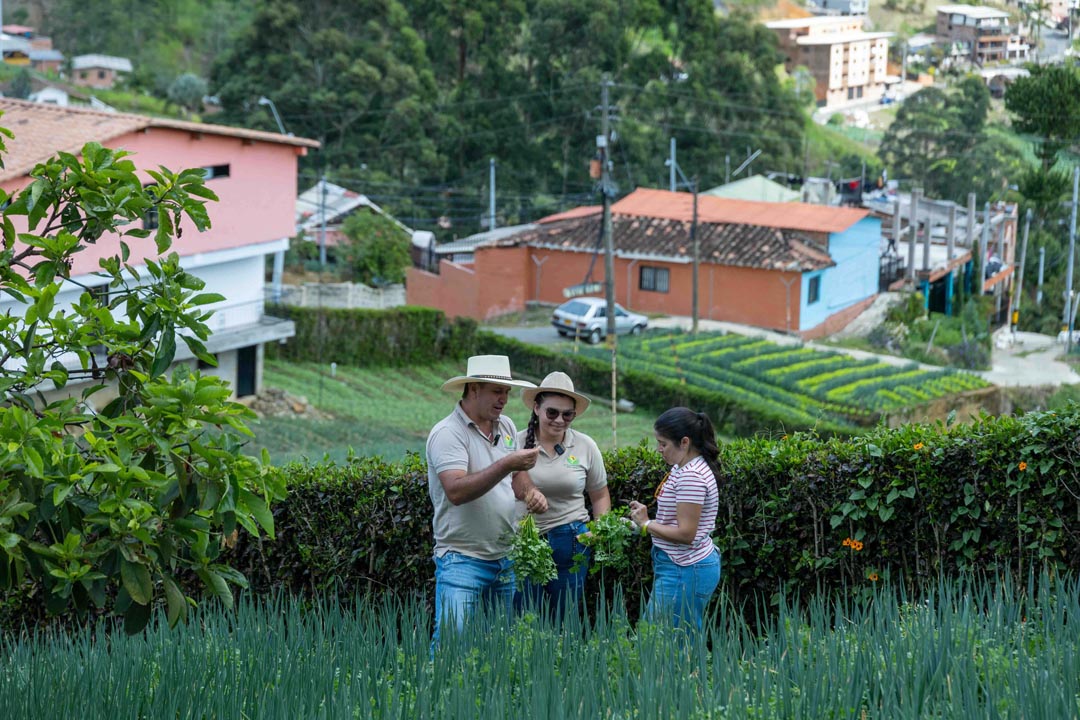 experiencia turística para cultivar el arraigo al campo