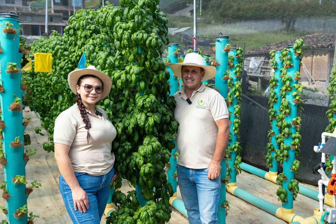 experiencia turística para cultivar el arraigo al campo